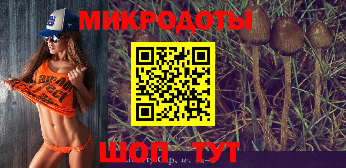 Псилоцибиновые грибы Psilocybe Мелеуз