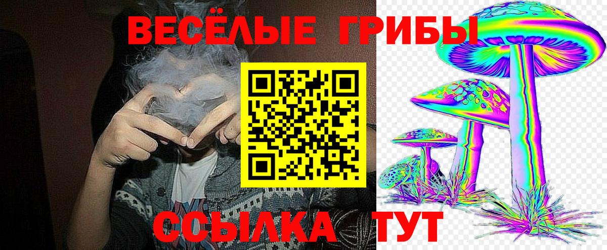 Псилоцибиновые грибы Psilocybe  Вход с VPN  Галлюциногенные грибы ЛСД  Мелеуз 